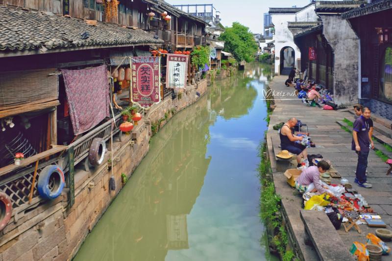 动物帮帮忙保卫家园